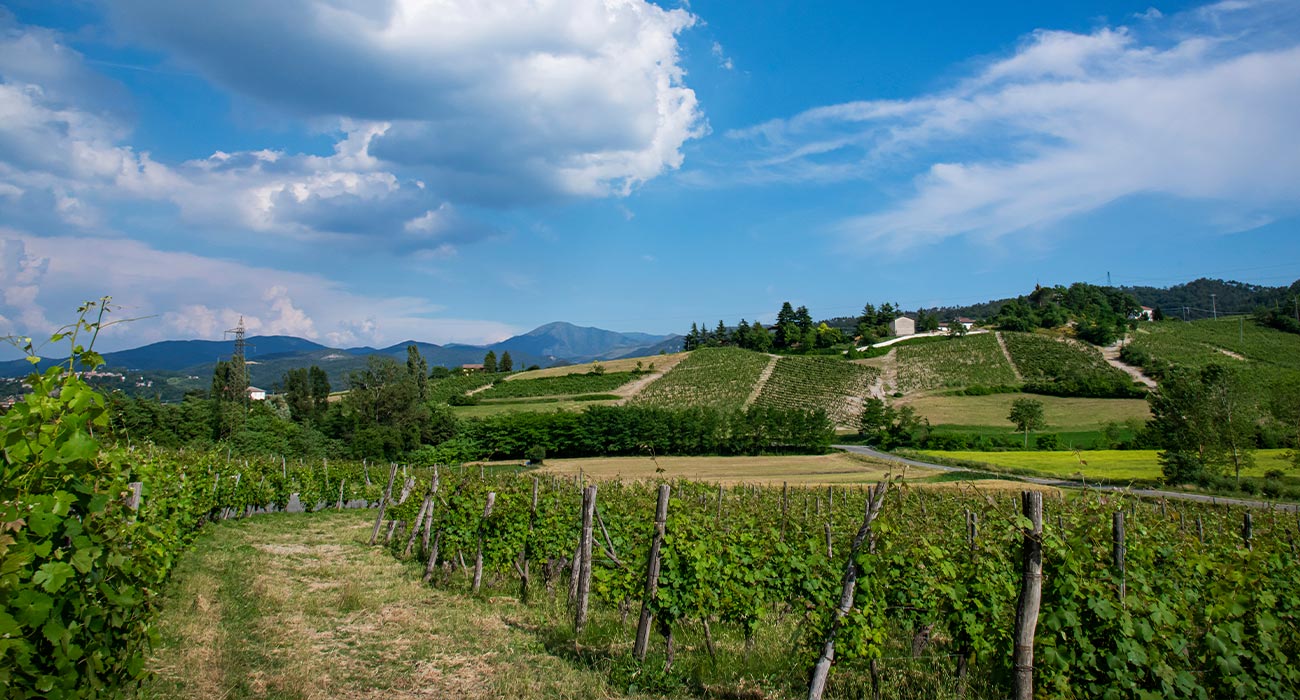 Alessandria, terra di incontri: tra territori, culture e tradizioni - Wedding Visit Piemonte