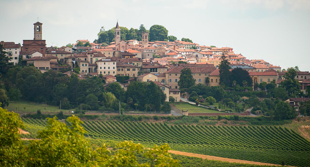 Alessandria, terra di incontri: tra territori, culture e tradizioni - Wedding Visit Piemonte