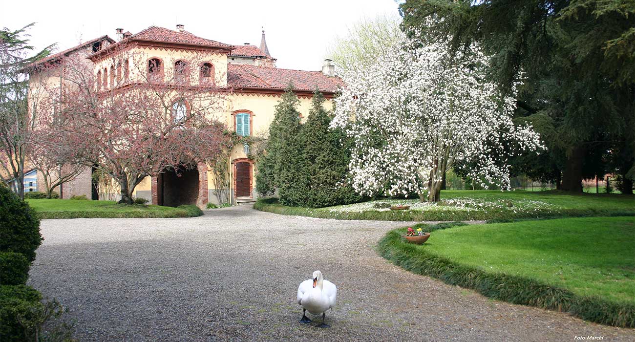 Castello di Casalino - Wedding Visit Piemonte