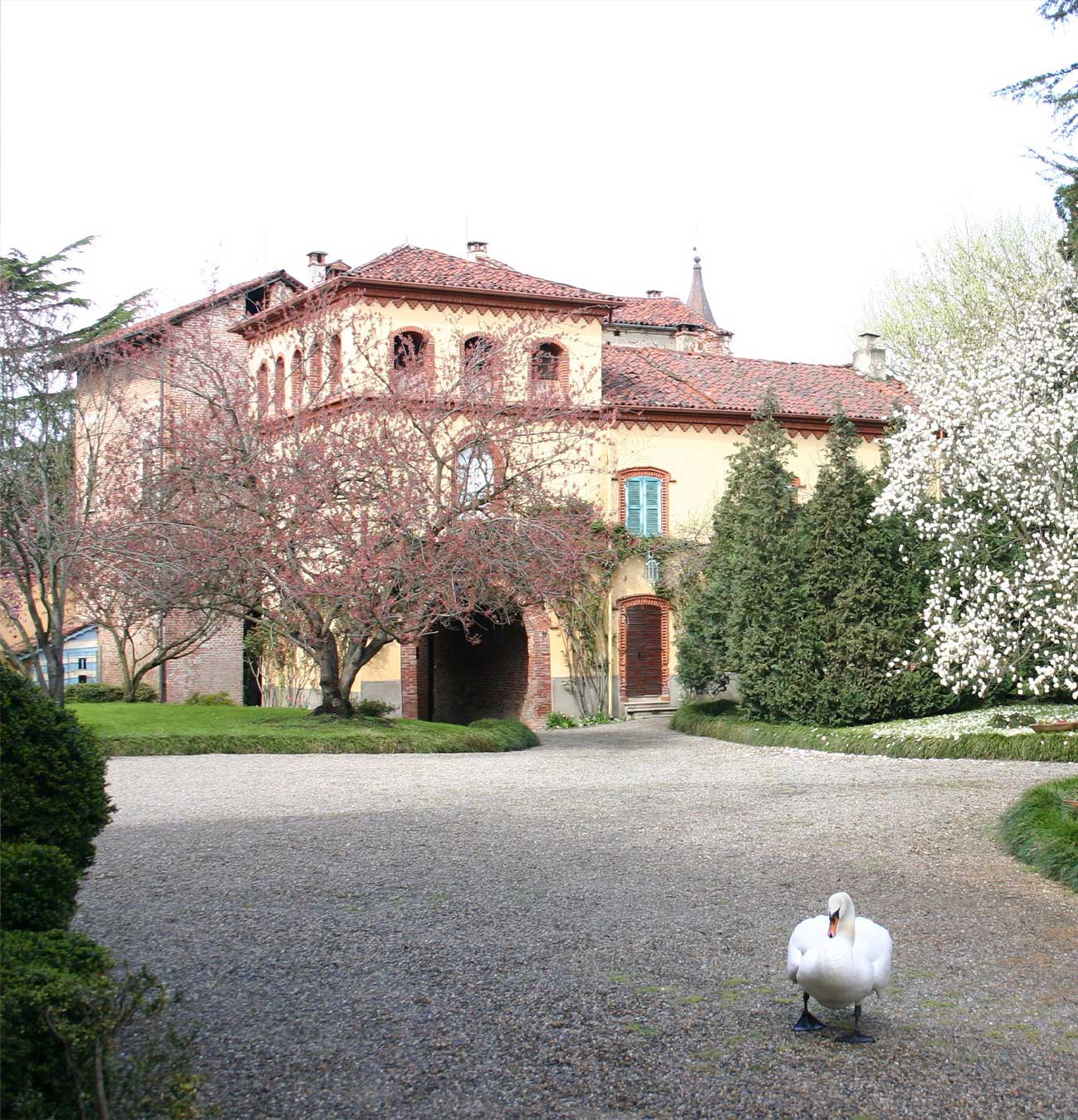 Castello di Casalino - Wedding Visit Piemonte