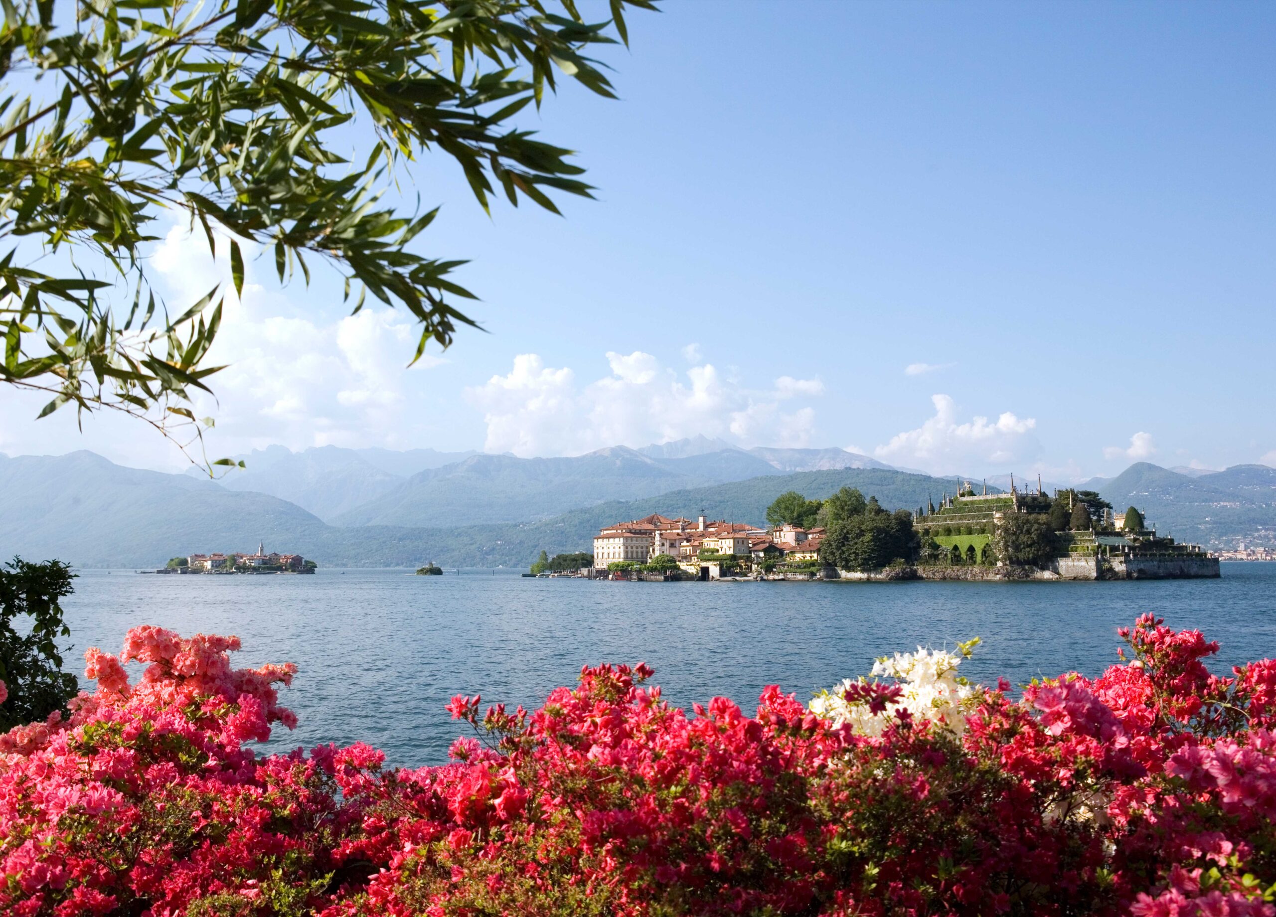 Il Piemonte in primavera svela un volto di colori e profumi che invita a itinerari di scoperta in tutta la regione - Wedding Visit Piemonte